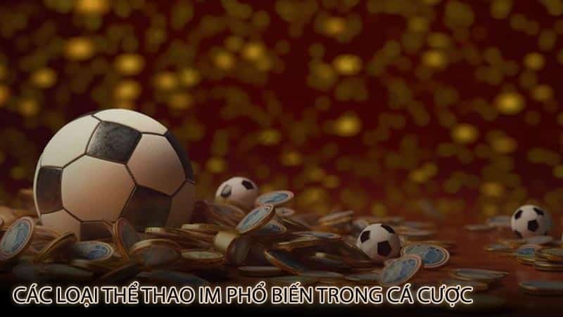 cac-loai-the-thao-im-pho-bien-trong-ca-cuoc