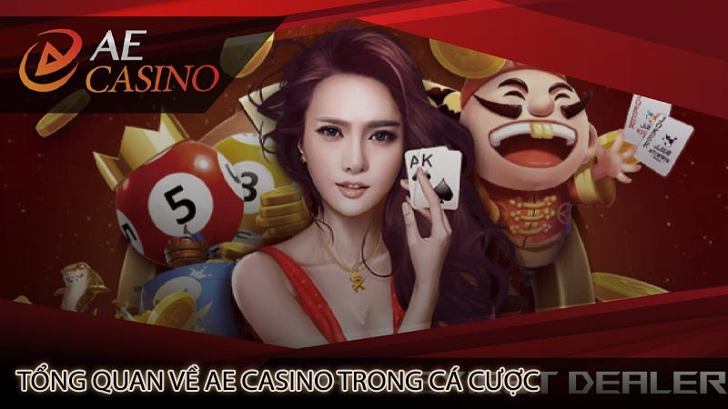 tong-quan-ve-ae-casino-trong-ca-cuoc